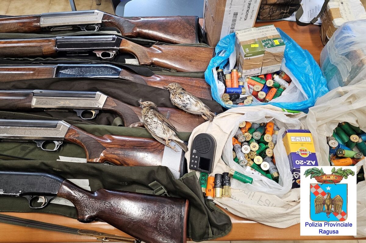 Stagione venatoria: 48 denunce e 45 fucili sequestrati