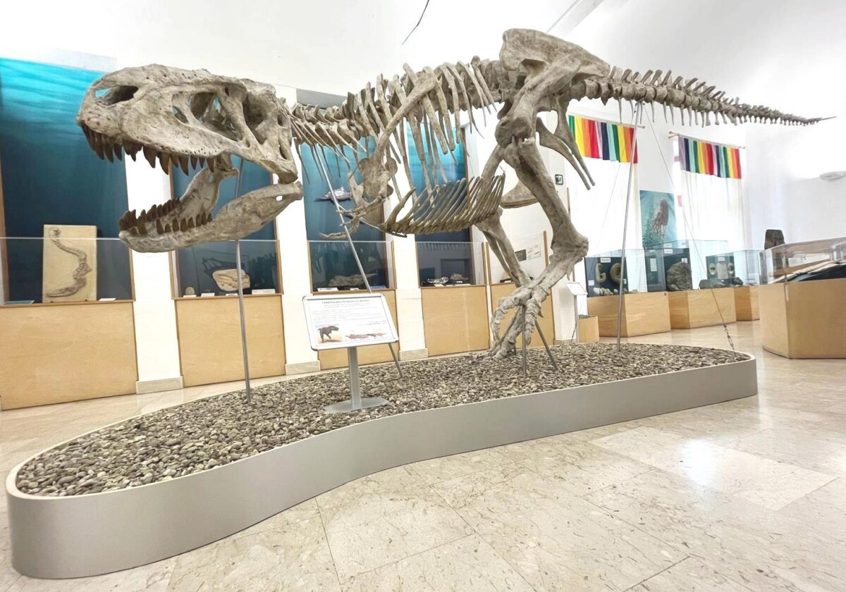 Comiso, fino a fine anno in mostra lo scheletro di un tirannosauride