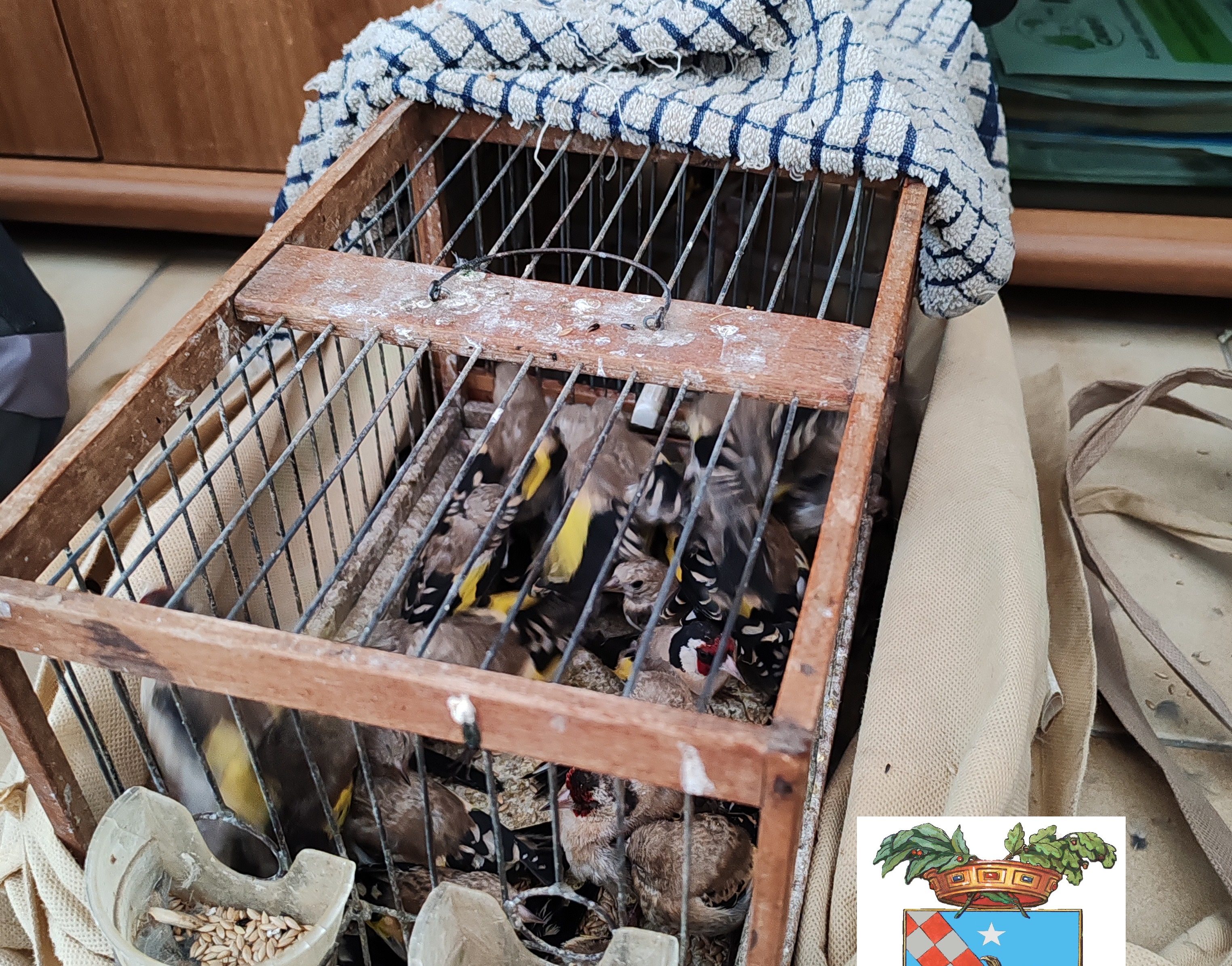 Bracconaggio nel Ragusano, 48 denunce e decine di sequestri