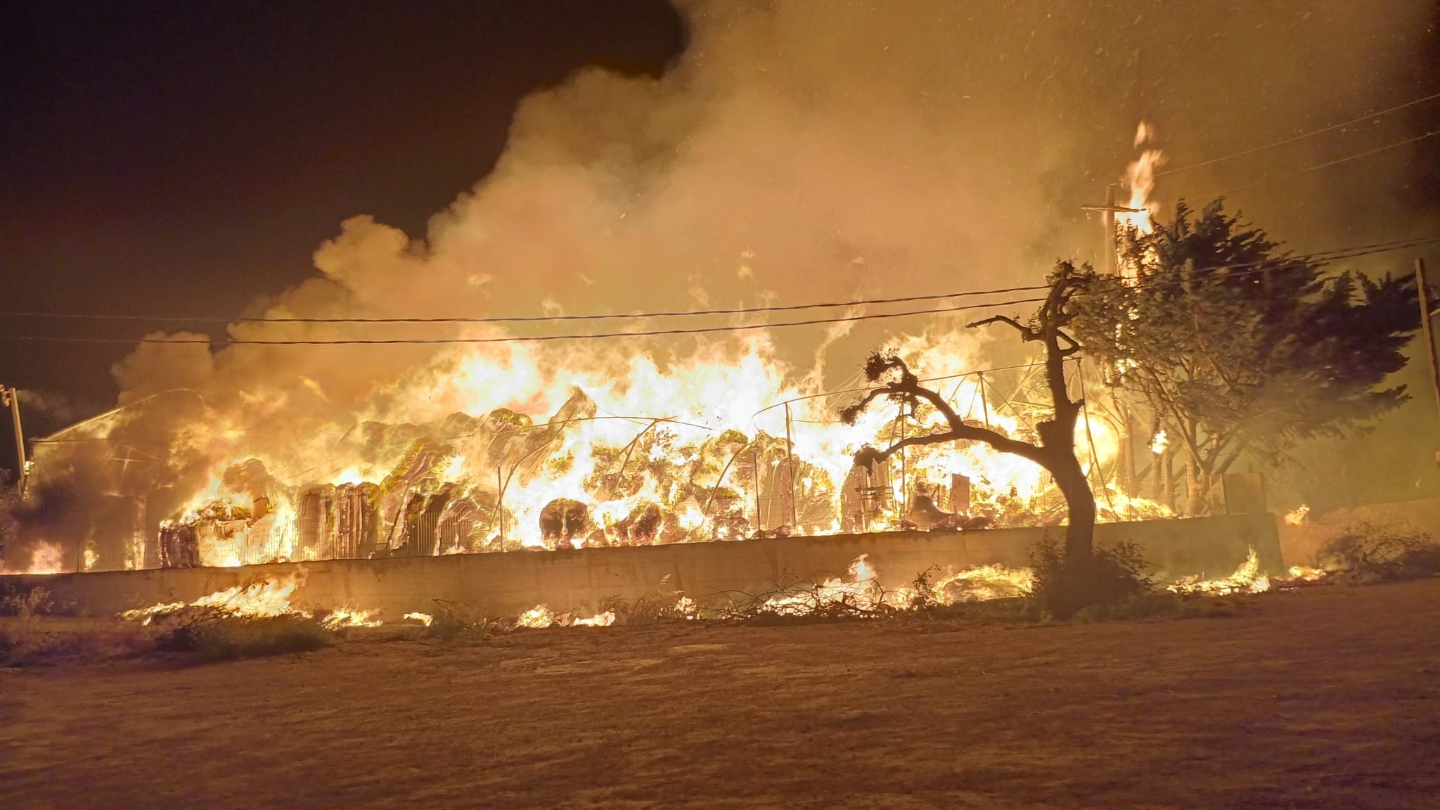 Inferno alla Ortoimballaggi di Santa Croce: le fiamme devastano la struttura e distruggono i mezzi. VIDEO